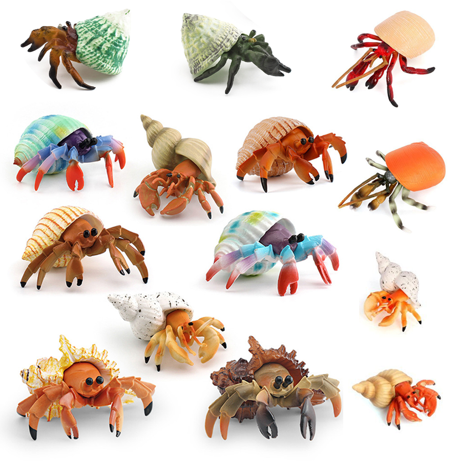 Kids Toys China - Realistic Hermit Crab Figurine Durable PVC