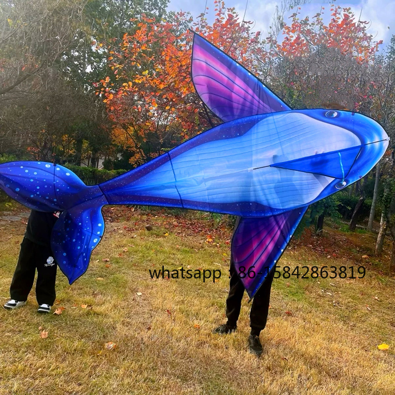 Kite Wind Outdoor - free shipping whale kite flying for