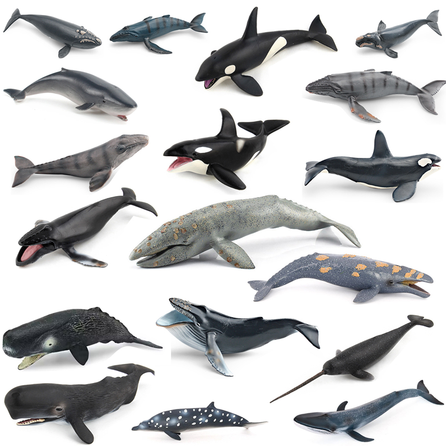 Kids Toys China - Realistic Humpback Whale Sperm Whale Narwhal