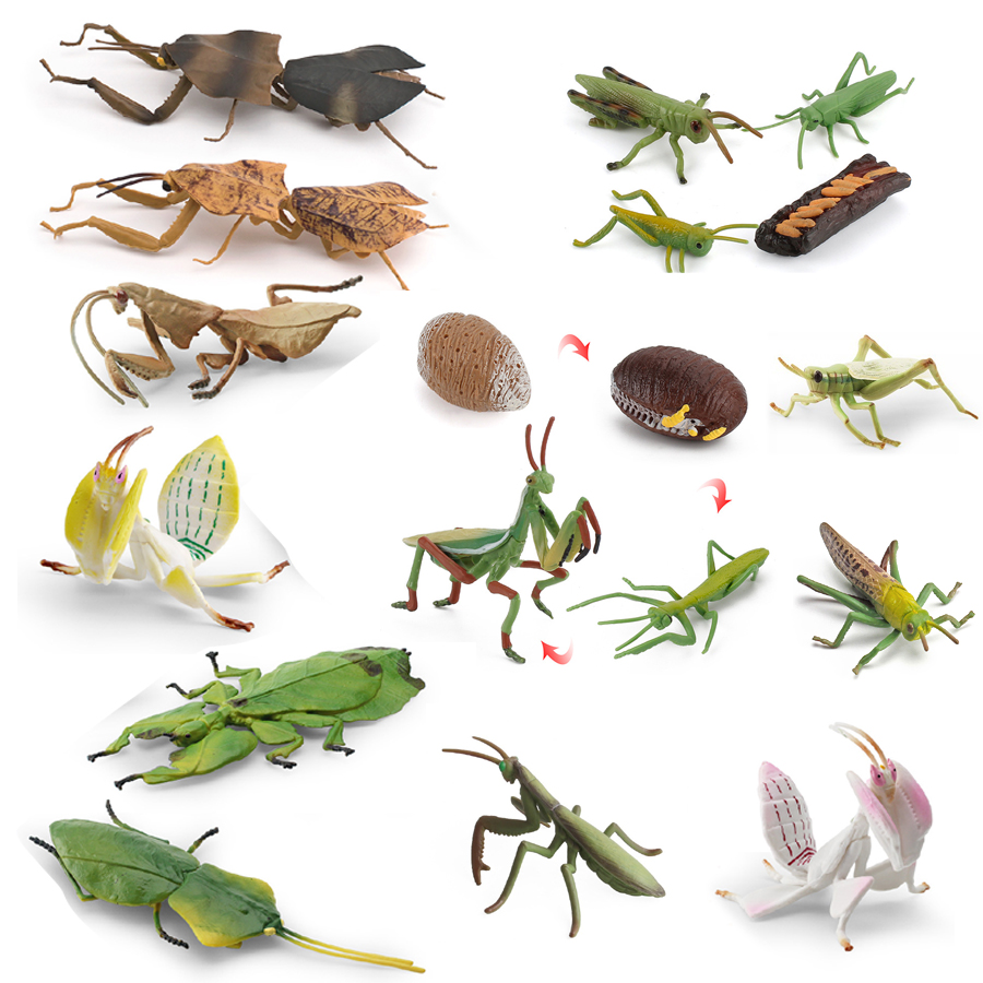 Kids Toys China - Realistic Orchid Mantis Dead Leaf Mantis