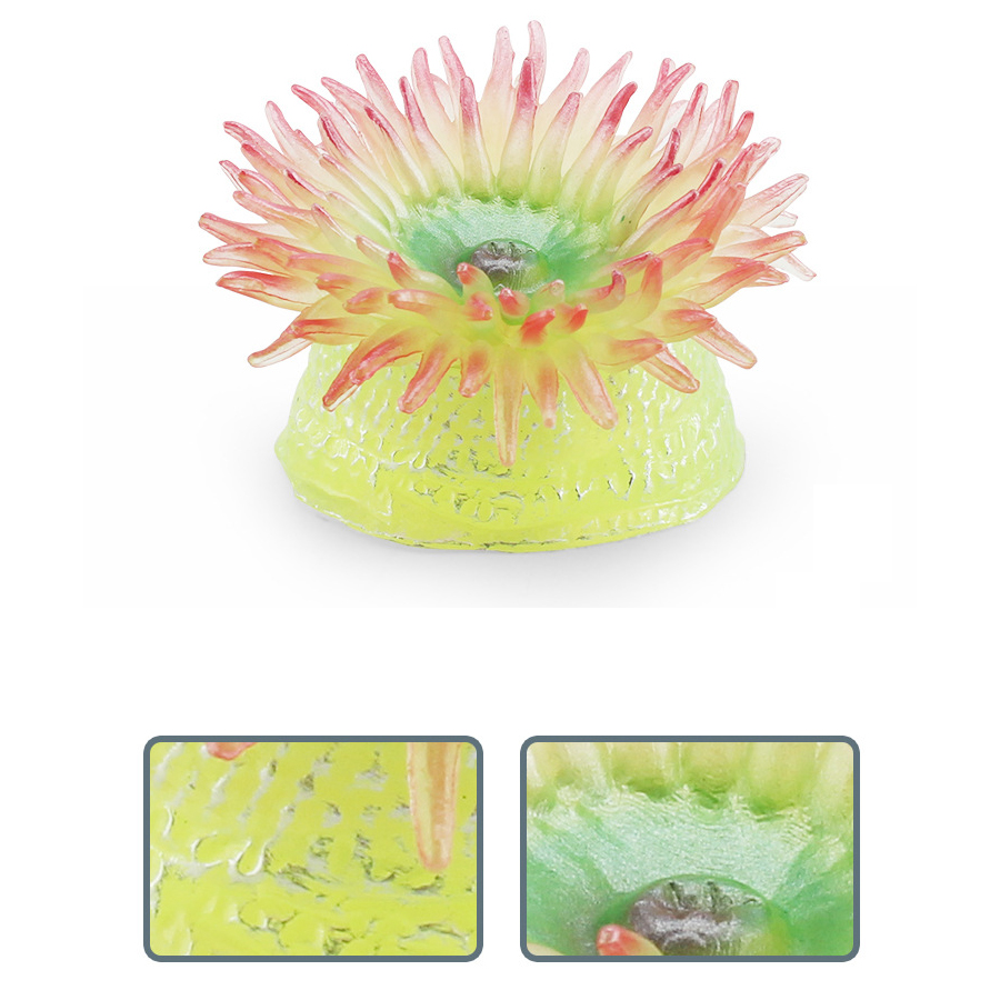 Realistic Coral Sea Anemones S - Kids Toys China 评论和价格