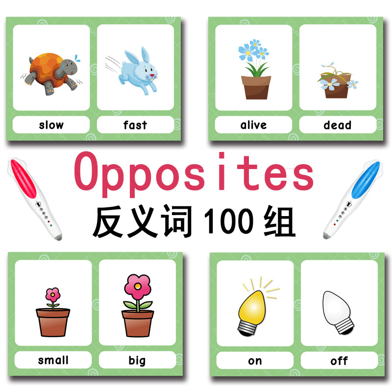 The 100 Groups Opposites Flash - Kids Toys China 评论和价格
