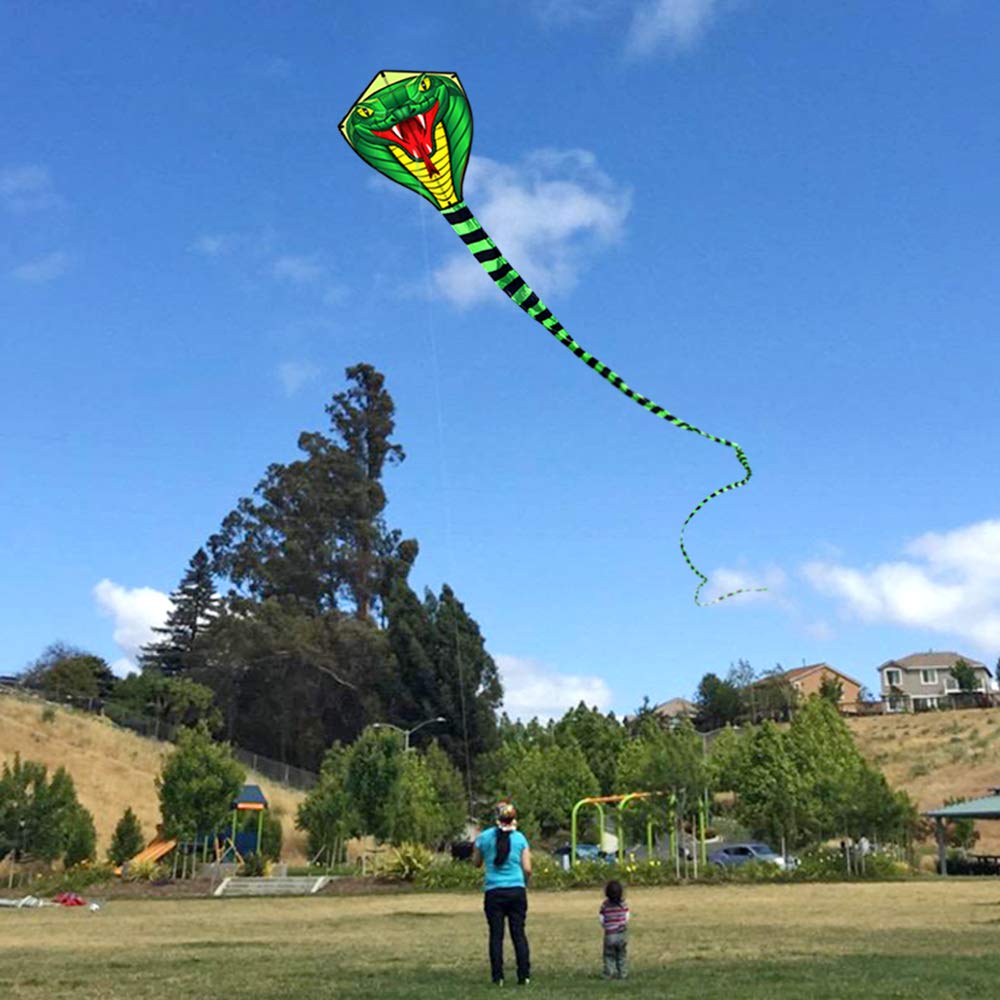 Large 8/15m Snake /Power Cobra - Kite Wind Outdoor 评论和价格