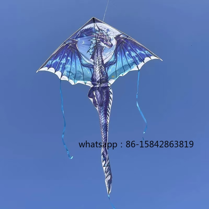 New pterosaur kites flying pro - Kite Wind Outdoor 评论和价格