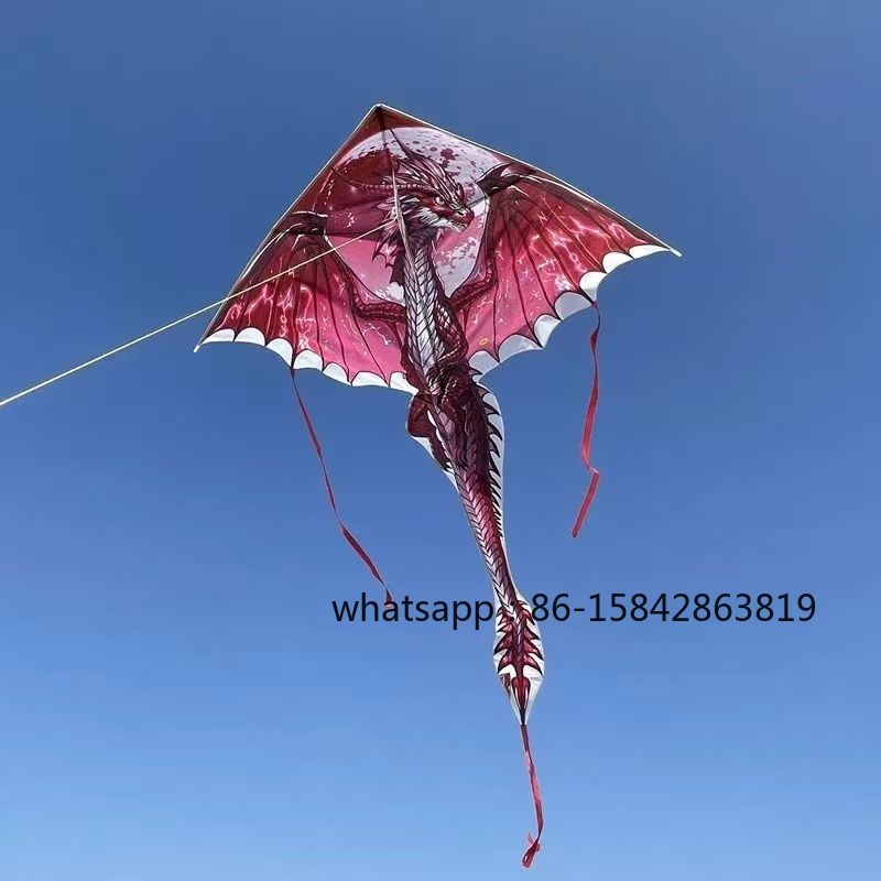 New pterosaur kites flying pro - Kite Wind Outdoor 评论和价格