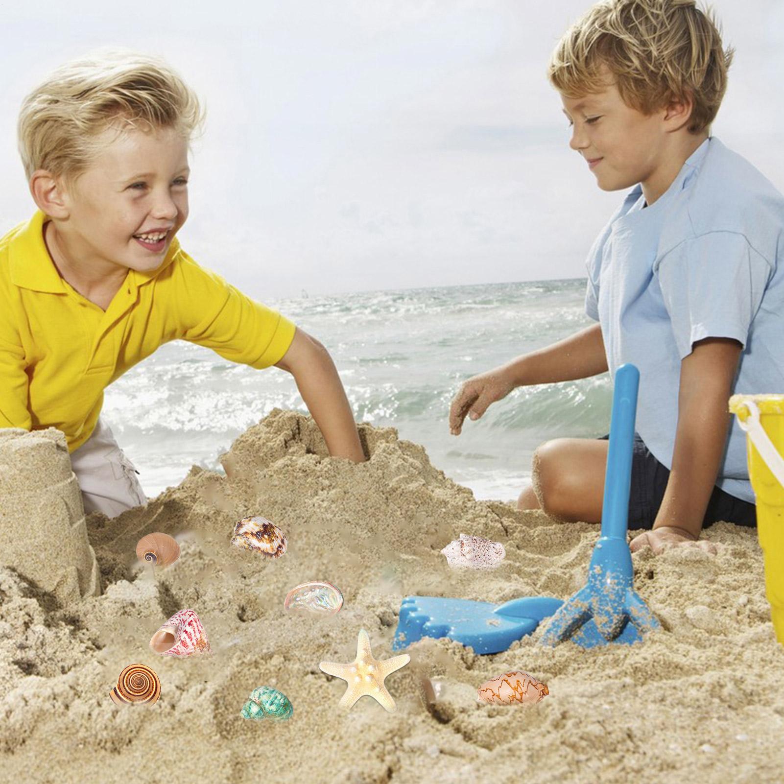 2025 Seashells Advent Calendar - Kids Toys Christmas 2025 评论和价格