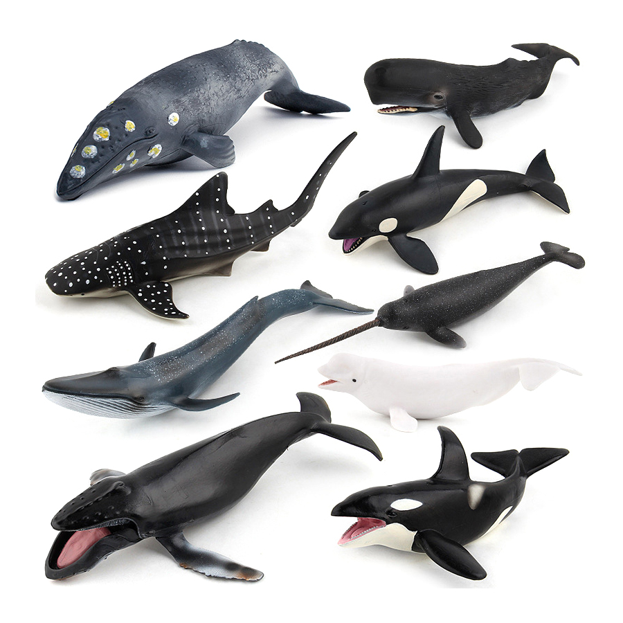 Realistic Humpback Whale Sperm - Kids Toys China 评论和价格