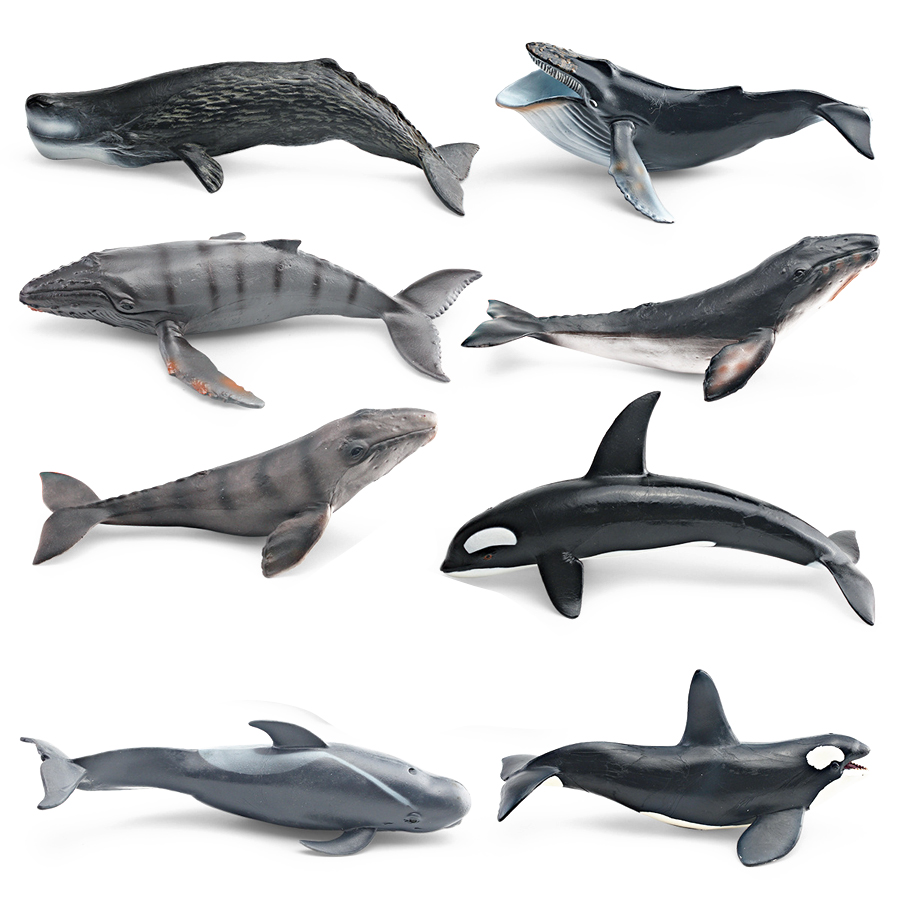 Realistic Humpback Whale Sperm - Kids Toys China 评论和价格