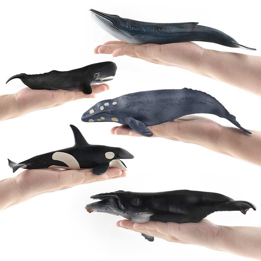 Realistic Humpback Whale Sperm - Kids Toys China 评论和价格