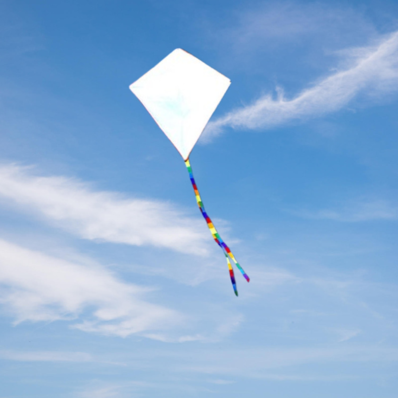 2pcs diy kite nylon fabric adu - Kite Wind Outdoor 评论和价格
