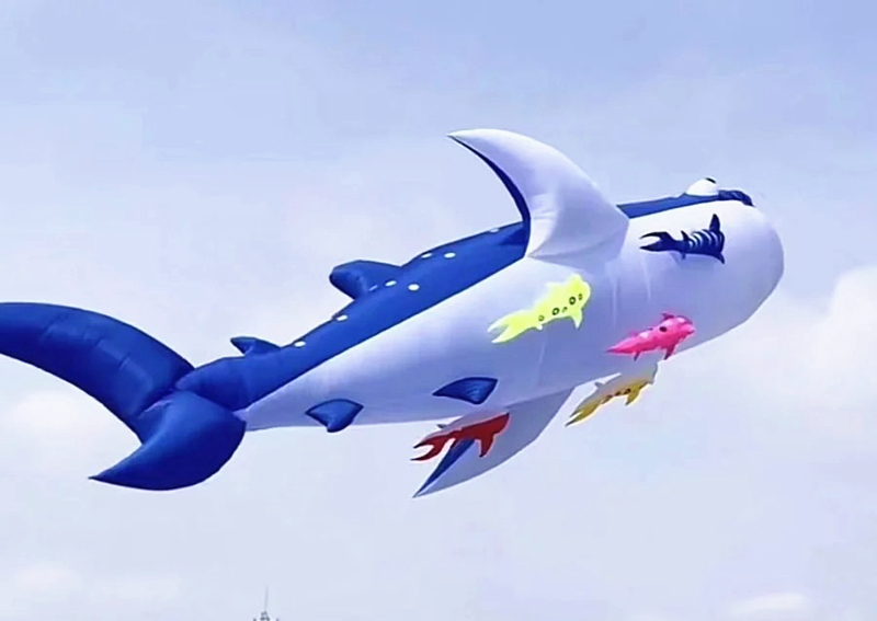 10m killer whale multi-color f - Kite Wind Outdoor 评论和价格