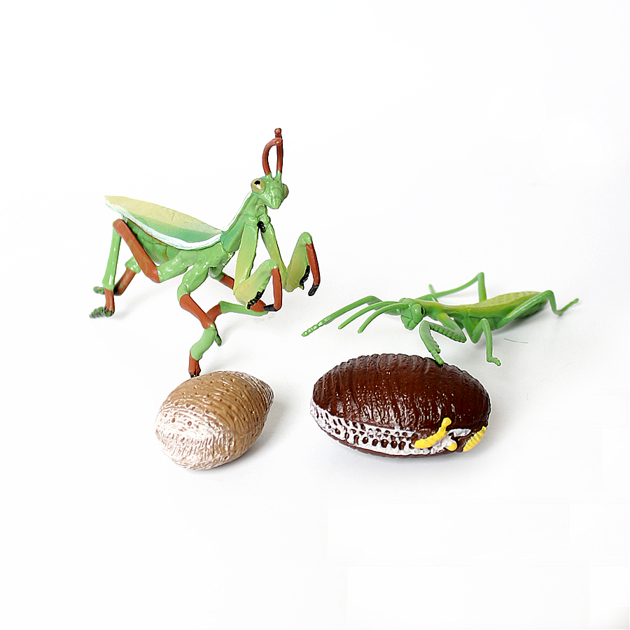 Realistic Orchid Mantis Dead L - Kids Toys China 评论和价格